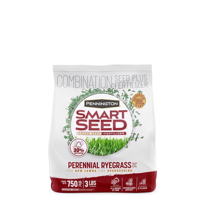 PENNINGTON - Pennington Smart Seed Perennial Ryegrass Sun or Shade Grass Seed and Fertilizer 3 lb