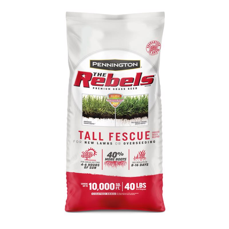 PENNINGTON SEED - Pennington The Rebels Tall Fescue Grass Sun or Shade Grass Seed 40 lb