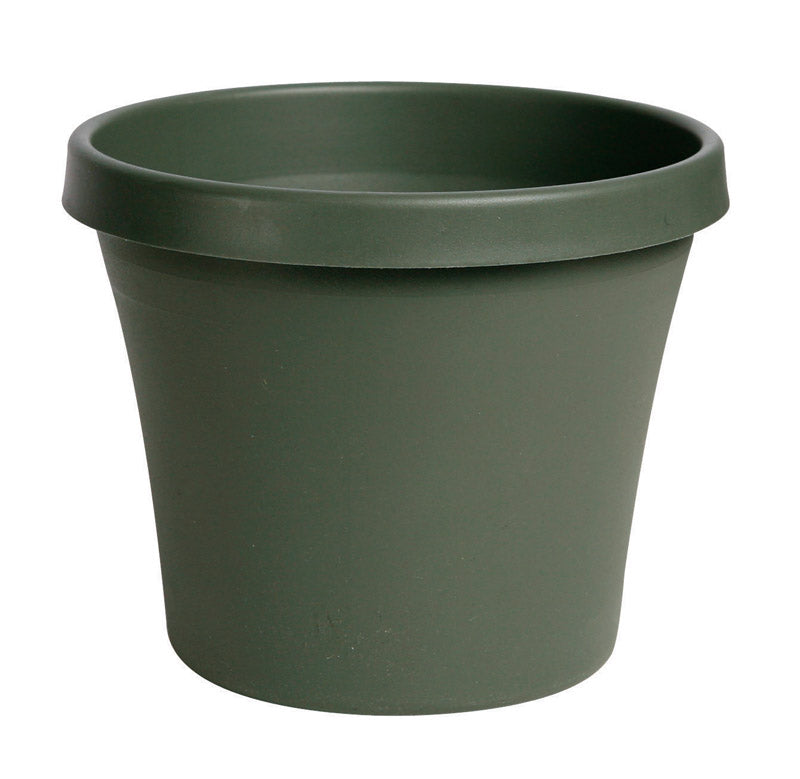 BLOEM - Bloem TerraPot 7 in. H X 8 in. D Resin Planter Living Green