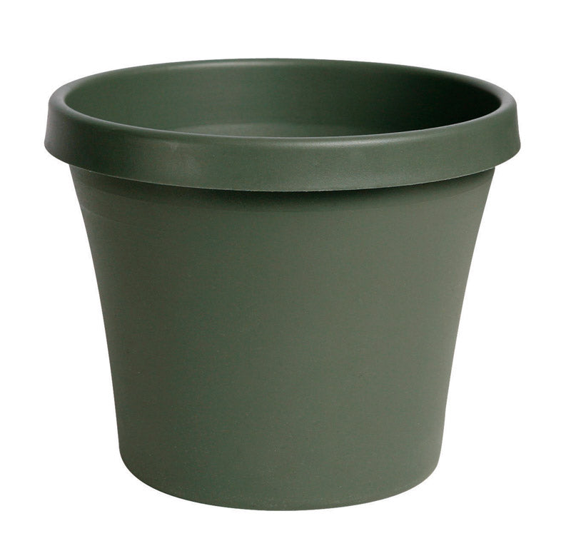 BLOEM - Bloem TerraPot 9 in. H X 10 in. D Resin Planter Living Green