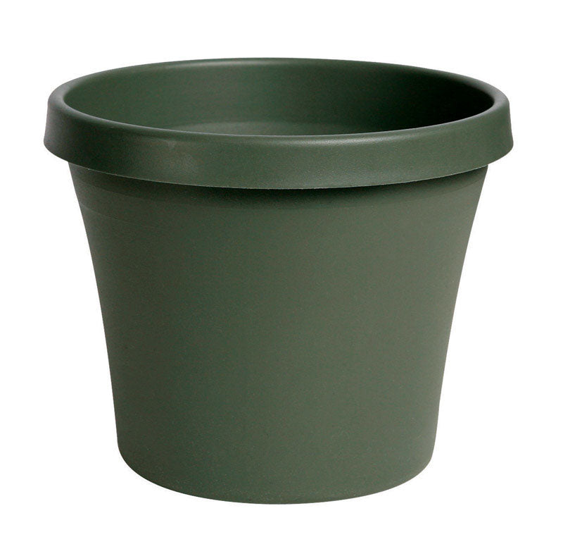 BLOEM - Bloem TerraPot 10.7 in. H X 12 in. D Resin Planter Living Green