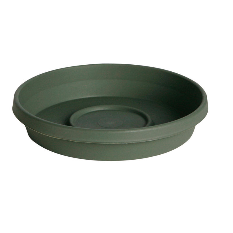 BLOEM - Bloem TerraTray 1.5 in. H X 8 in. D Resin Plant Saucer Living Green