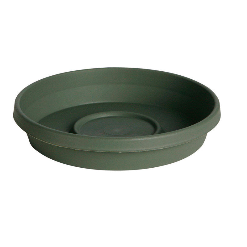 BLOEM - Bloem TerraTray 2 in. H X 12 in. D Resin Plant Saucer Living Green