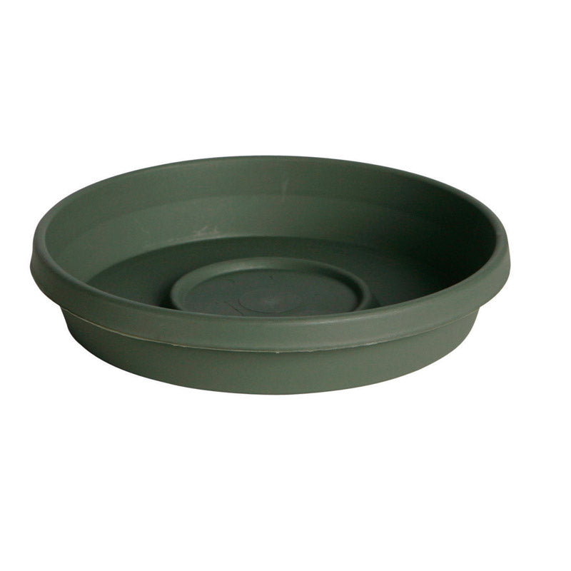 BLOEM - Bloem TerraTray 2.5 in. H X 14 in. D Resin Plant Saucer Living Green