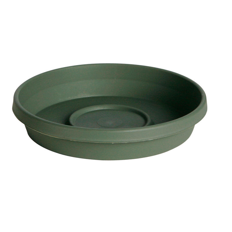 BLOEM - Bloem TerraTray 2.7 in. H X 16 in. D Resin Plant Saucer Living Green