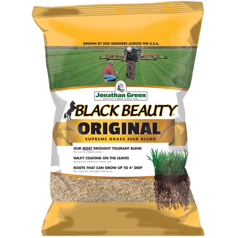 JONATHAN GREEN - Jonathan Green Black Beauty Tall Fescue Grass Sun or Shade Grass Seed 15 lb