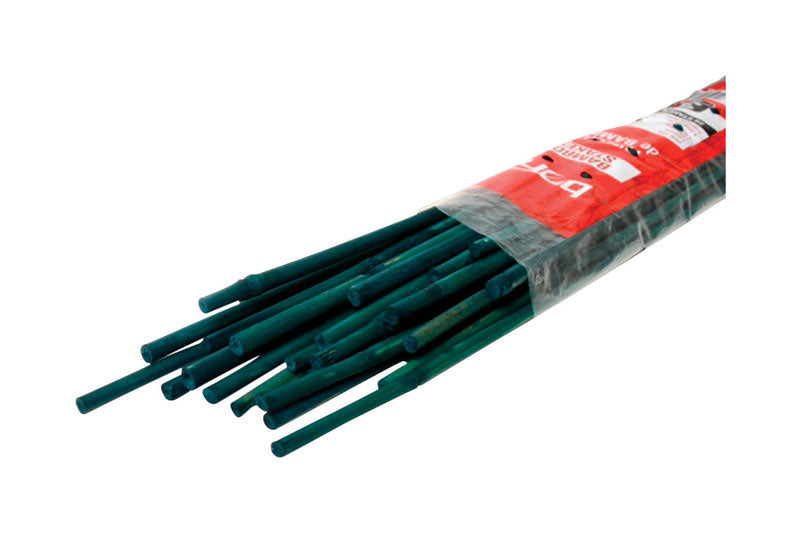 BOND - Bond 3 ft. H Green Bamboo Garden Stakes