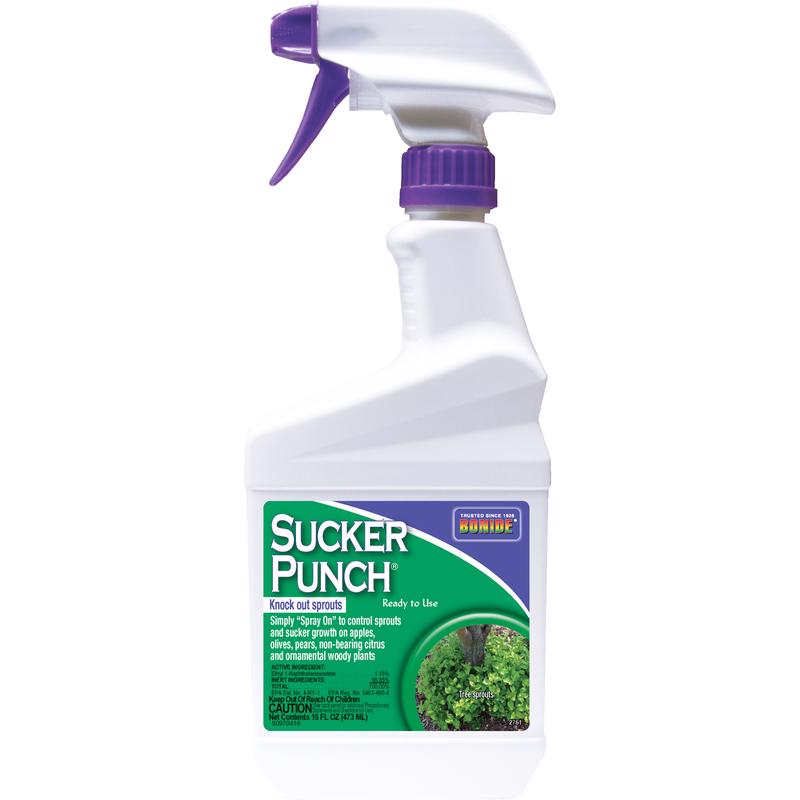 BONIDE - Bonide Sucker Punch Tree Roots Killer RTU Liquid 16 oz