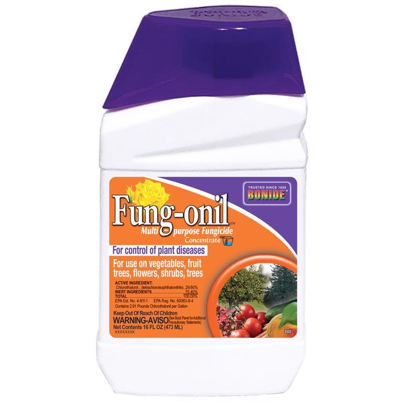 BONIDE - Bonide Fung-onil Concentrated Liquid Fungicide 16 oz