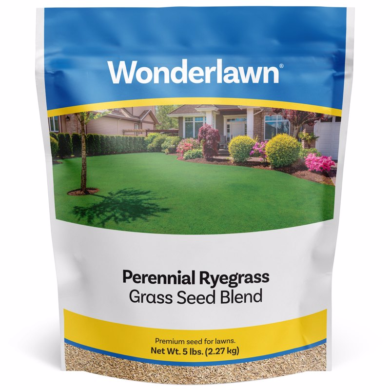 BARENBRUG - Barenbrug Wonderlawn Perennial Ryegrass Partial Shade/Sun Grass Seed Blend 10 lb