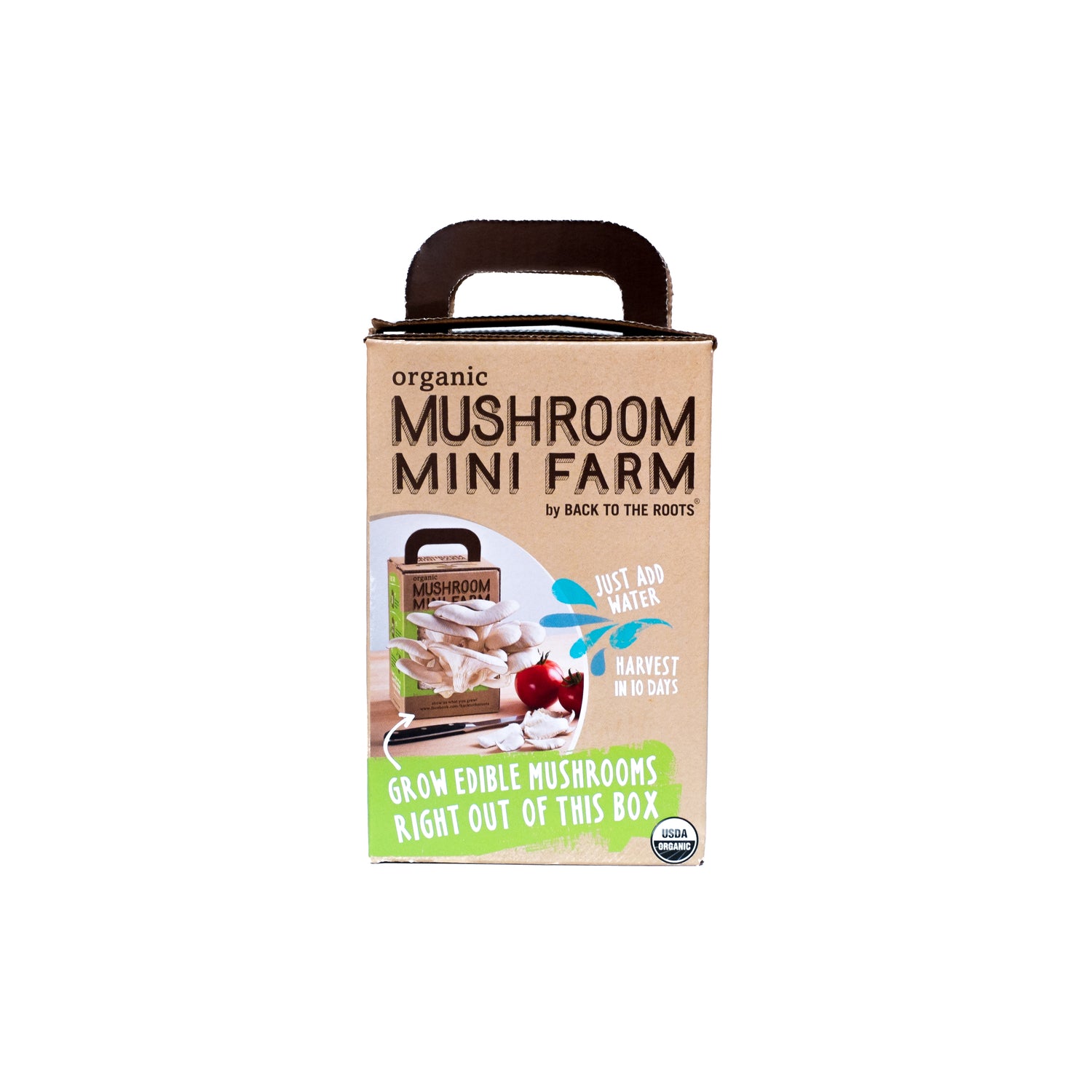 Back to the Roots Mushroom Mini Farm 1 pk