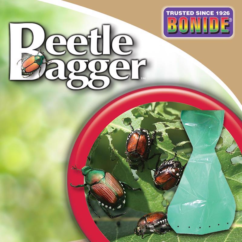 BONIDE - Bonide Beetle Bagger Beetle Trap Bag 6 pk