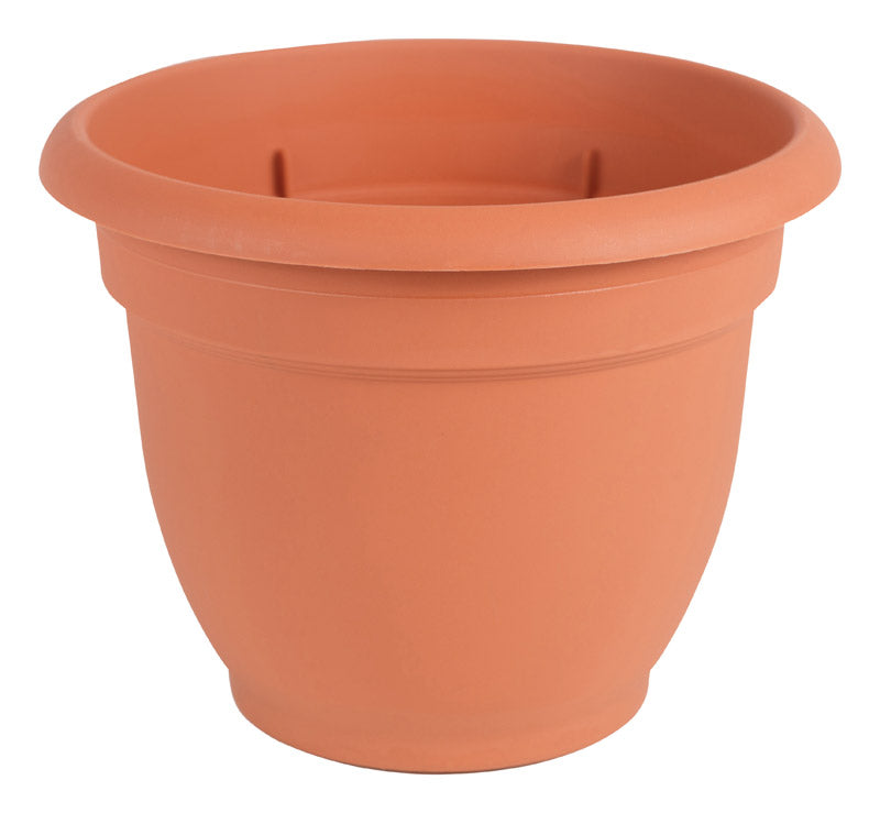 BLOEM - Bloem 13.75 in. H X 17.75 in. W X 16 in. D Plastic Ariana Planter Terracotta