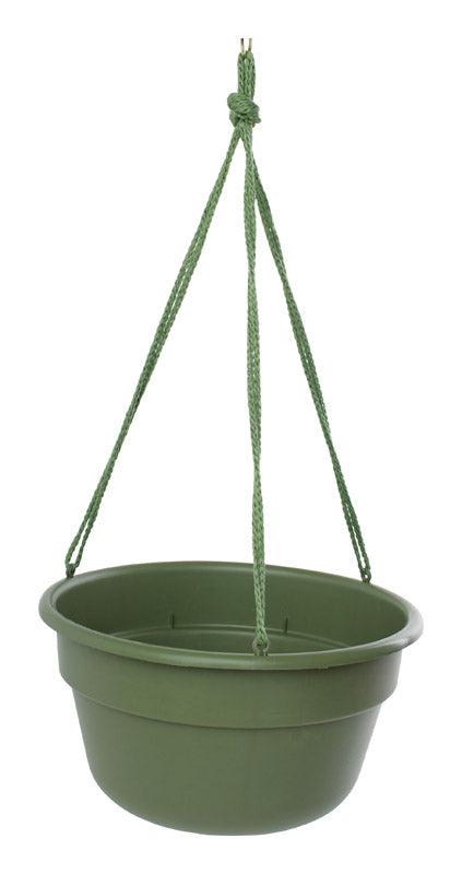 BLOEM - Bloem 6.8 in. H X 12.4 in. D Resin Dura Cotta Hanging Basket Living Green