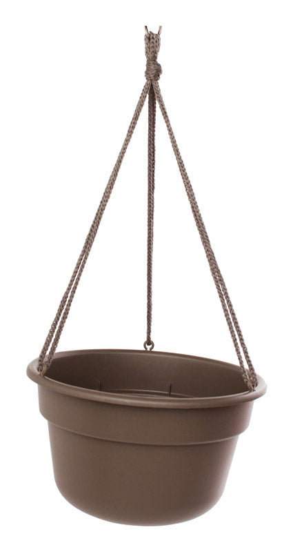 BLOEM - Bloem 6.8 in. H X 12.4 in. D Resin Hanging Basket Chocolate