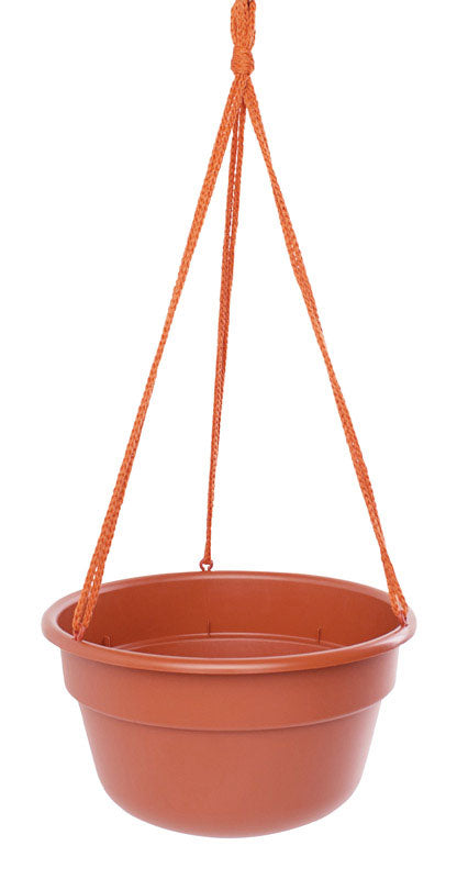 BLOEM - Bloem 6.8 in. H X 12.4 in. D Resin Dura Cotta Hanging Basket Terracotta Clay