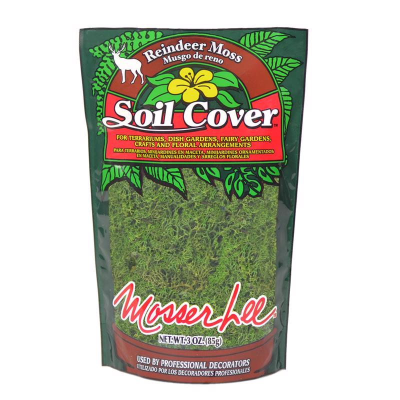MOSSER LEE - Mosser Lee Soil Cover Dark Green Reindeer Moss 3 oz