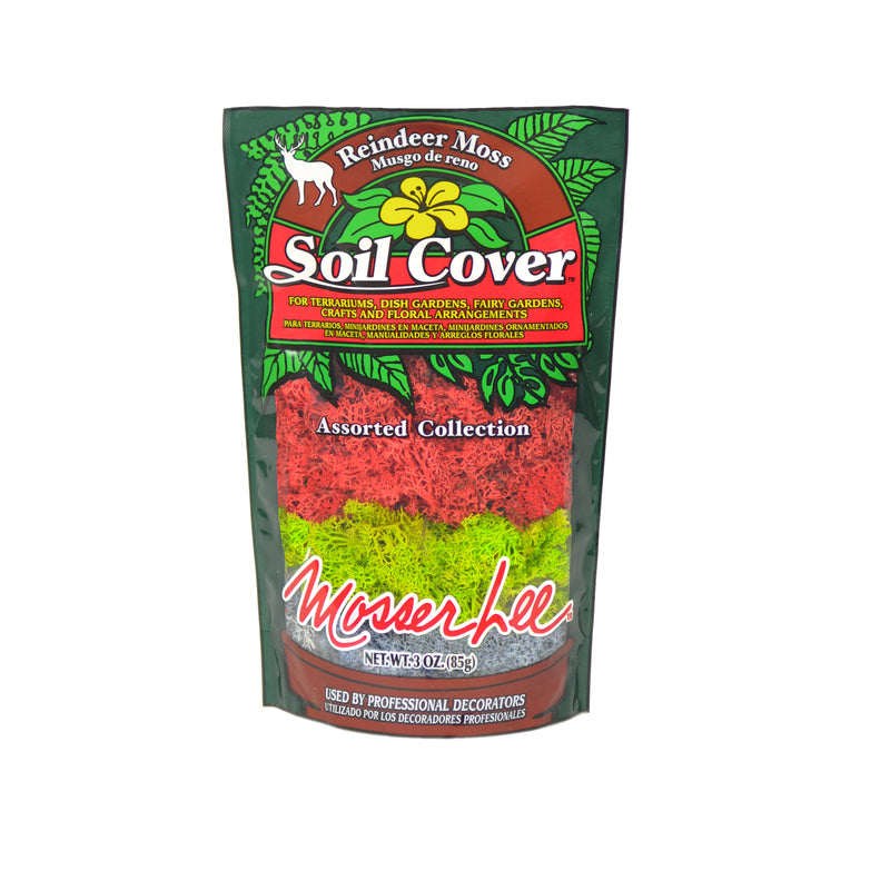 MOSSER LEE - Mosser Lee Soil Cover Assorted Reindeer Moss 3 oz