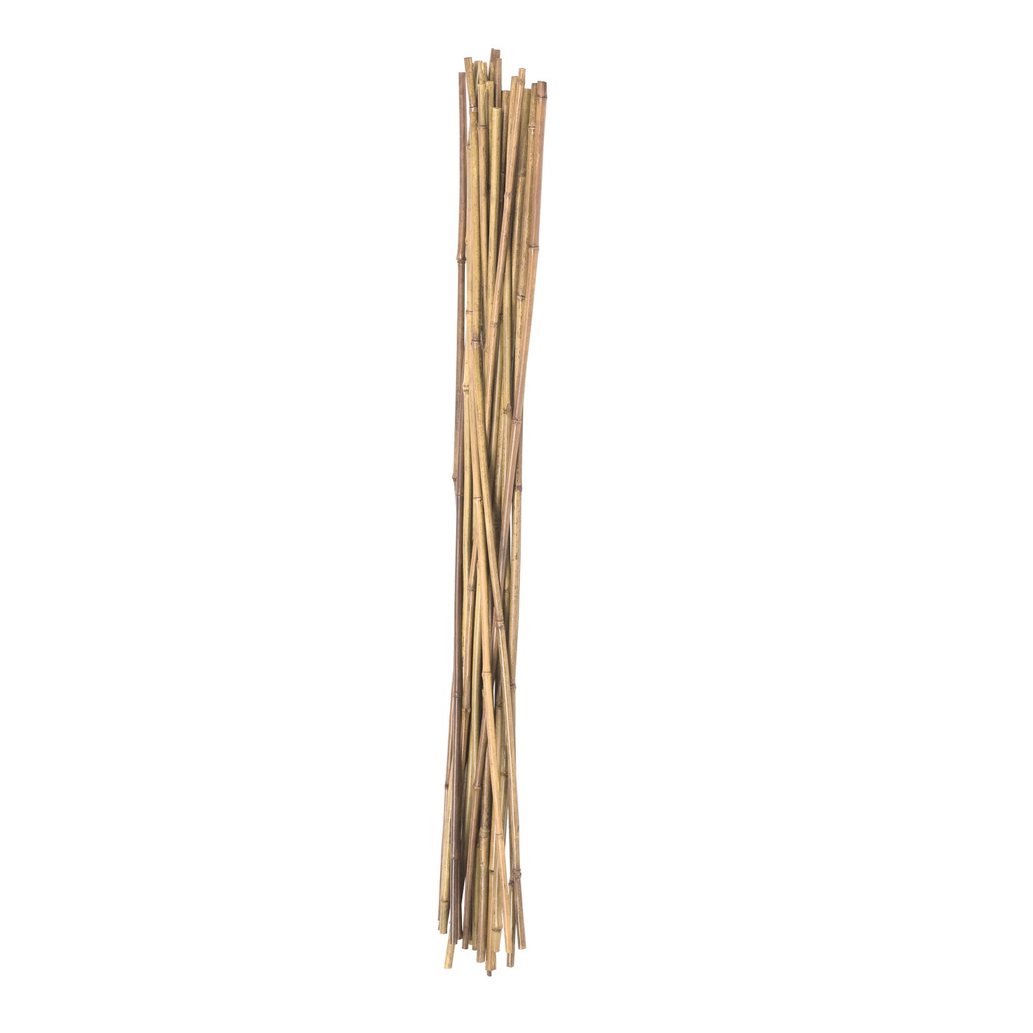 Panacea 36 in. H Brown Bamboo Plant Stake - Case of 36