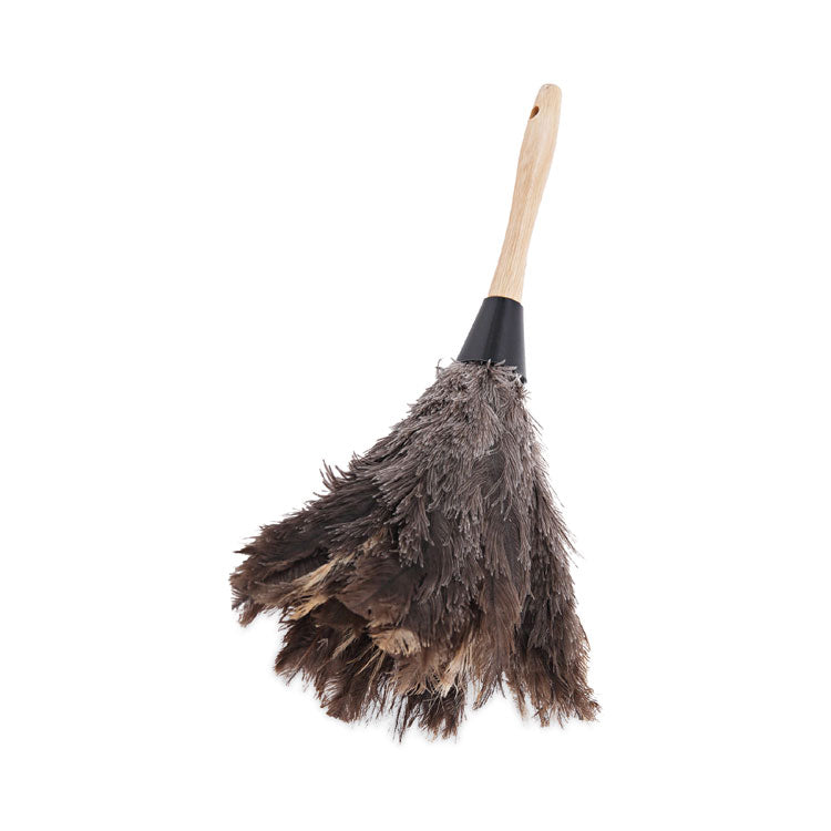 Boardwalk - Professional Ostrich Feather Duster, Gray, 14" Length, 6" Handle