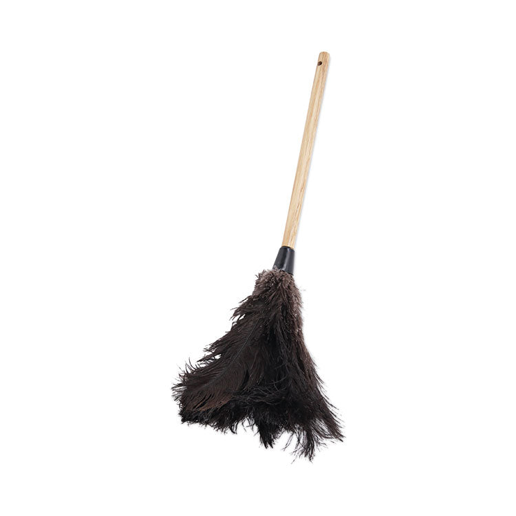 Boardwalk - Professional Ostrich Feather Duster, 10" Handle