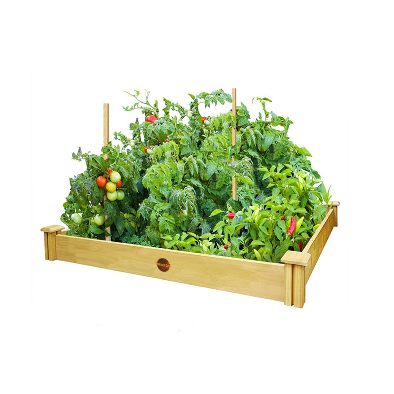 MIRACLE-GRO - Miracle-Gro 5.5 in. H X 48 in. W X 48 in. D Cedar Elevated Garden Bed Kit Brown