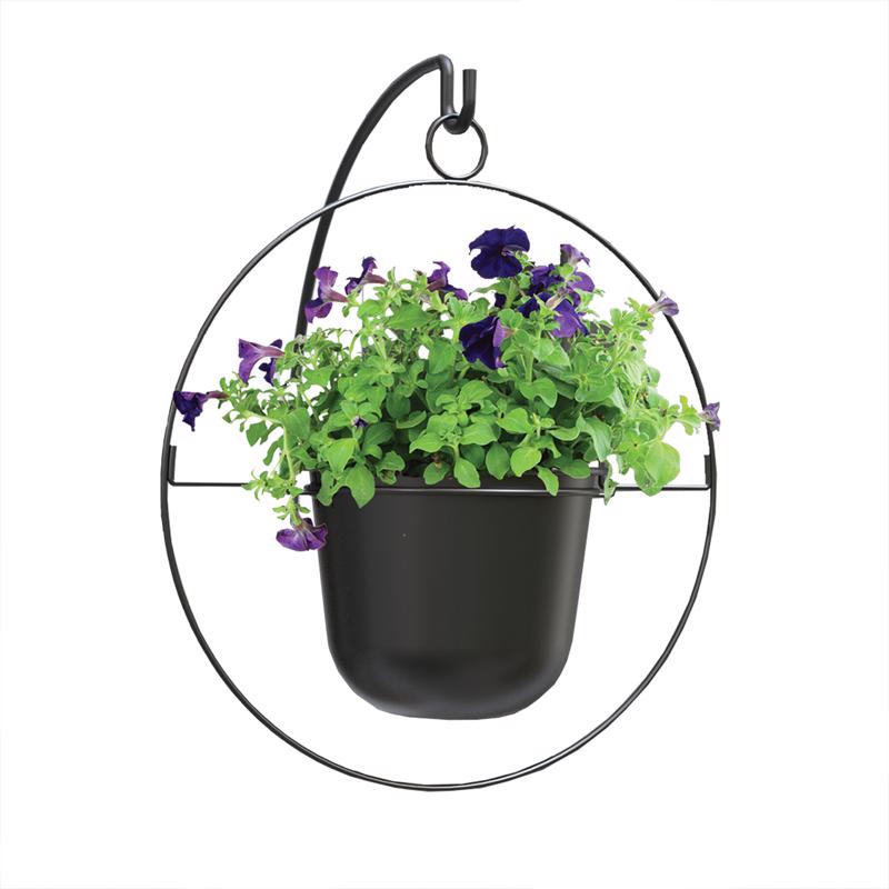 PANACEA - Panacea 17 in. D Metal Round Ring Hanging Planter Black - Case of 6