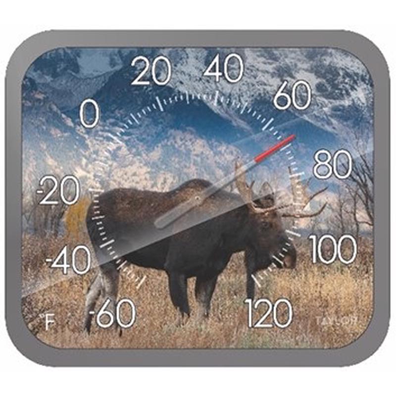 TAYLOR - Taylor Moose Dial Thermometer Plastic Multicolored 14 in.