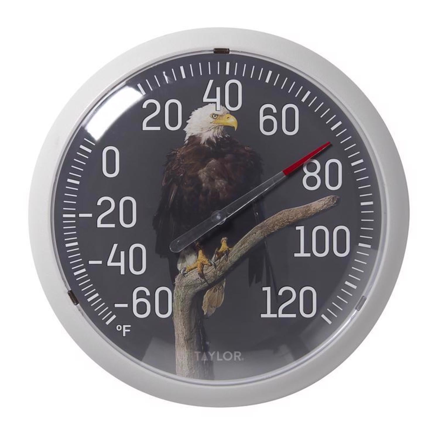 Taylor Eagle Dial Thermometer Plastic Multicolored 13.25 in. - Case of 4