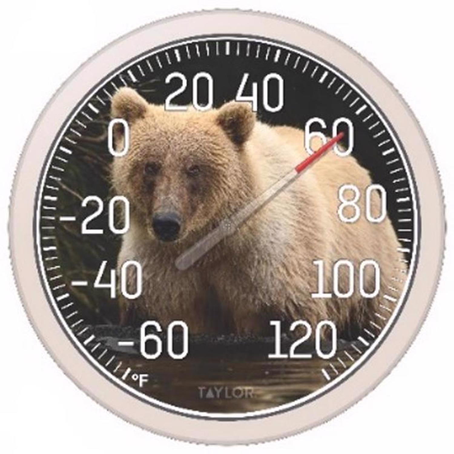 Taylor Bear Dial Thermometer Plastic Multicolored 13.25 in. - Case of 4