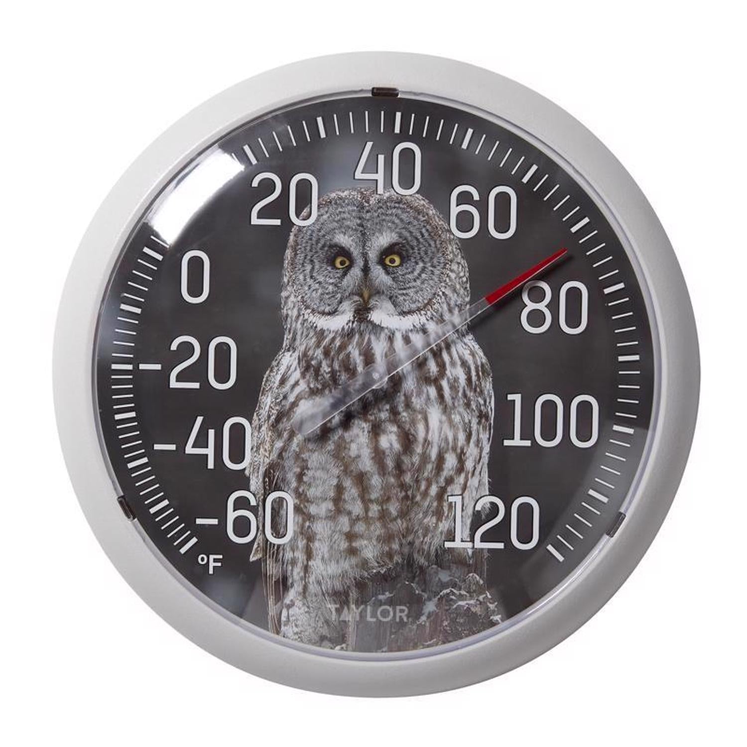 Taylor Owl Dial Thermometer Plastic Multicolored 13.25 in. - Case of 4