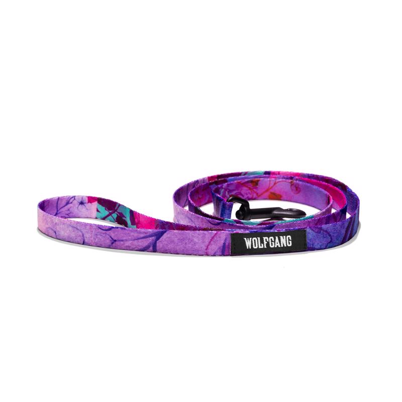 WOLFGANG - Wolfgang Multicolored DayDream Polyester Dog Leash Small/Medium