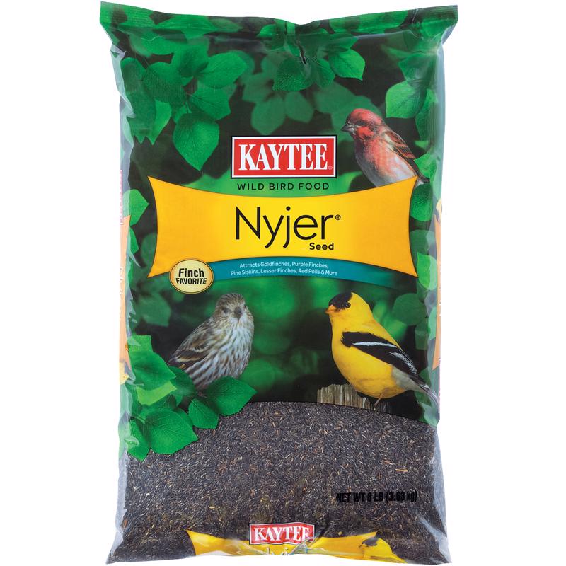 KAYTEE - Kaytee Nyjer Songbird Niger Seed Wild Bird Food 8 lb