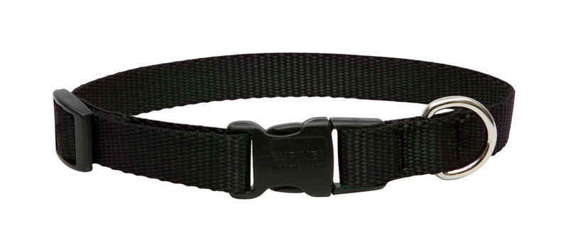 LUPINE PET - Lupine Pet Basic Solids Black Black Nylon Dog Adjustable Collar [27501]