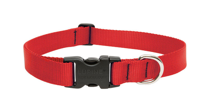 LUPINE PET - Lupine Pet Basic Solids Red Red Nylon Dog Adjustable Collar [22552]