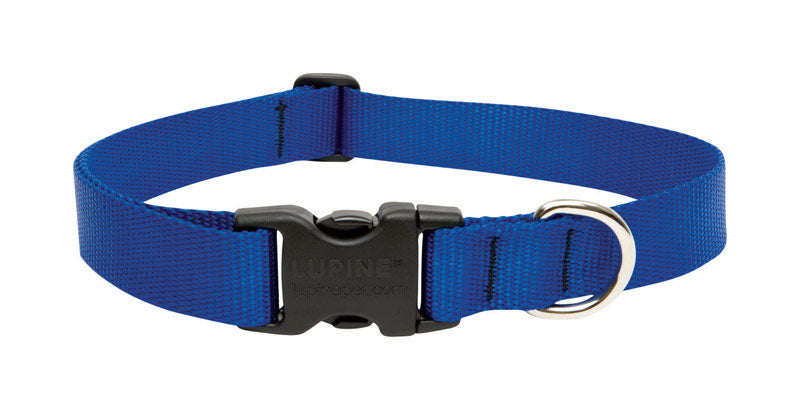 LUPINEPET - LupinePet Basic Solids Blue Blue Nylon Dog Adjustable Collar [17553]