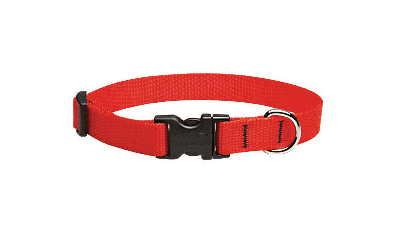 LUPINE PET - Lupine Pet Basic Solids Red Red Nylon Dog Adjustable Collar [22501]