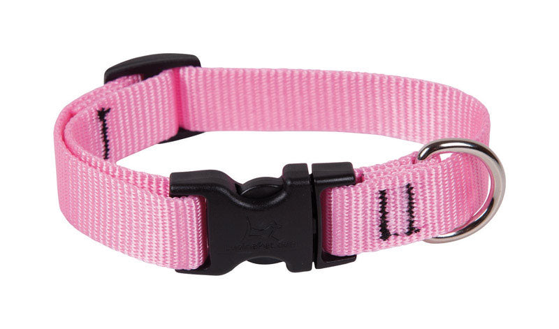 LUPINEPET - LupinePet Basic Solids Pink Pink Nylon Dog Adjustable Collar [57501]