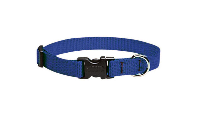 LUPINE PET - Lupine Pet Basic Solids Blue Blue Nylon Dog Adjustable Collar [17501]