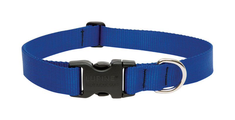 LUPINE PET - Lupine Pet Basic Solids Blue Blue Nylon Dog Adjustable Collar [17552]