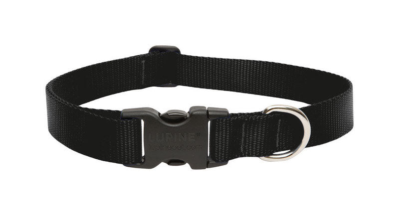 LUPINE PET - Lupine Pet Basic Solids Black Black Nylon Dog Adjustable Collar [27552]