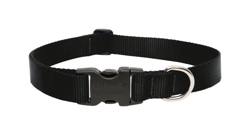 LUPINE PET - Lupine Pet Basic Solids Black Black Nylon Dog Adjustable Collar [27553]