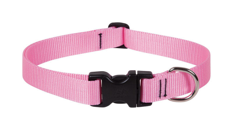 LUPINEPET - LupinePet Basic Solids Pink Pink Nylon Dog Adjustable Collar [57552]