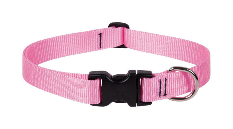 LUPINEPET - LupinePet Basic Solids Pink Pink Nylon Dog Adjustable Collar [57553]