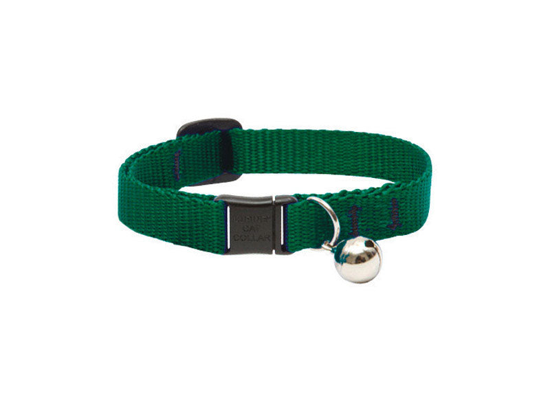 LUPINEPET - LupinePet Basic Solids Green Green Nylon Cat Collar