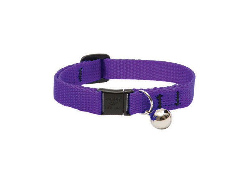 LUPINEPET - LupinePet Basic Solids Purple Purple Nylon Cat Collar