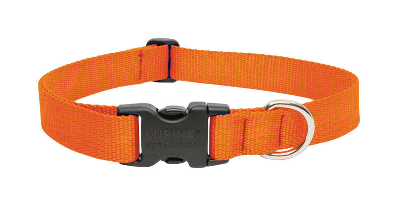 LUPINEPET - LupinePet Basic Solids Blaze Orange Blaze Orange Nylon Dog Adjustable Collar [52552]