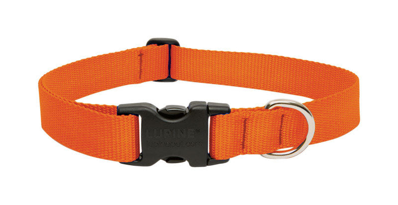 LUPINEPET - LupinePet Basic Solids Blaze Orange Blaze Orange Nylon Dog Adjustable Collar [52553]