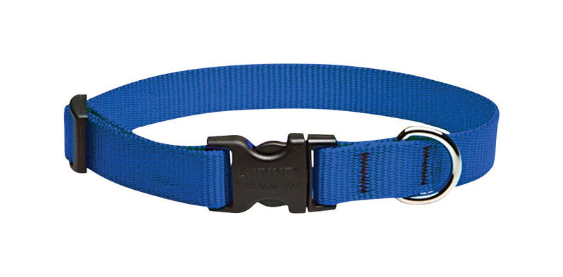 LUPINEPET - LupinePet Basic Solids Blue Blue Nylon Dog Adjustable Collar [17502]