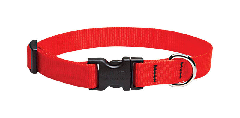 LUPINEPET - LupinePet Basic Solids Red Red Nylon Dog Adjustable Collar [22502]